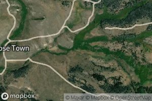 Middle Fork Moose Creek