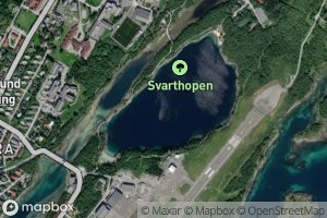 Svarthopen