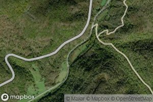 George Tyson Farm Spring