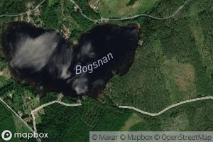 Bogsnan