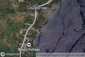Kokok Tibuborak