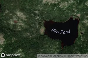 Pins Pond