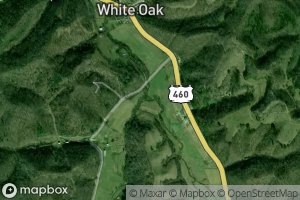 Left Fork White Oak Creek