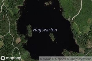 Hagsvarten