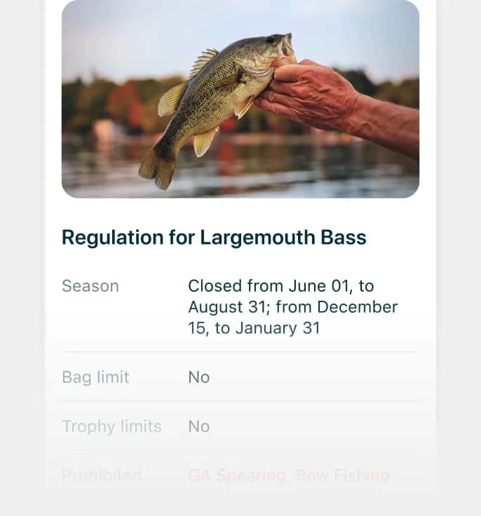 Maine Fishing License: Costs, Types & How to Obtain