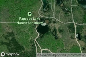 Papoose Lake