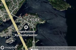 Engoysnagvika