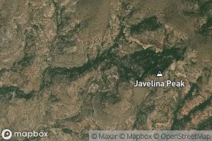 Javelina Spring