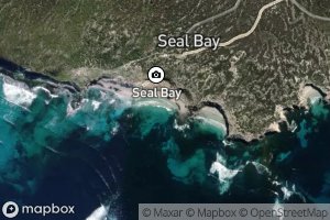 Seal Bay
