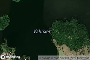 Valloxen