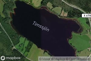 Timssjoen