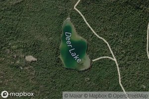 Deer Lake