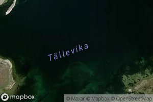 Tallevika