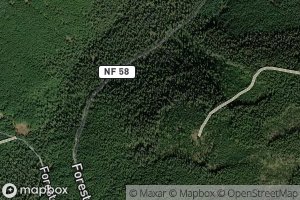 Black Wolf Meadow Creek