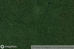 Igarape Apinguirim-Ari