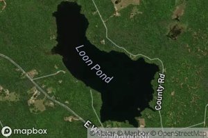 Loon Pond