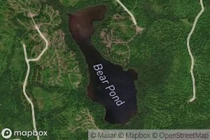 Bear Pond