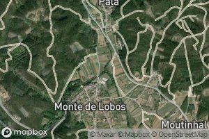 Ribeiro de Palheiros