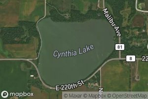 Cynthia Lake