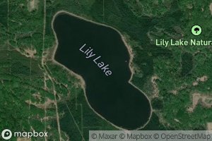 Lily Lake