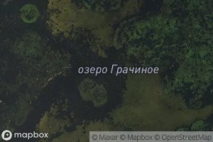 Ozero Grachinoye
