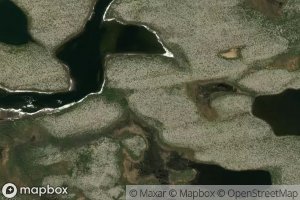 Rapides Nipayustimusich