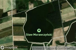 Staw Morawczynski