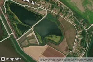 Rybopitomnik Shaparevskiy