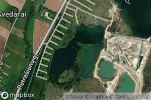 Petrasiunu I Karjeras