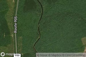 Popple Intervale Brook