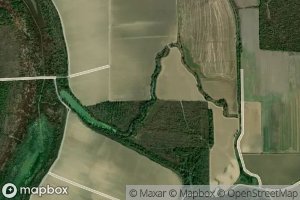 Black Democrat Bayou