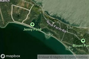 Jenny Pond