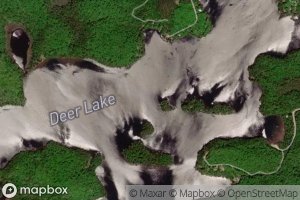 Deer Lake
