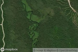 The Oxbow