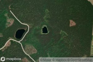 Elnos Laukoniu Ezeras