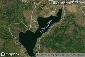 Lily Lake