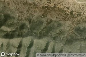 Canada Rosas Amarillas