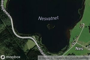 Nesvatnet