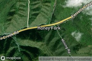 Honey Fork