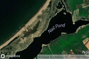 Nail Pond