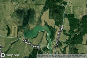Mill Pond