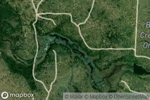 Big Cannon Creek Swamp