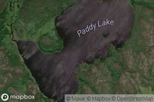 Paddy Lake