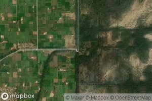 Three Right Distributary