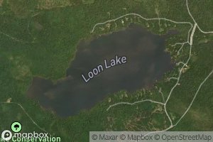 Loon Lake