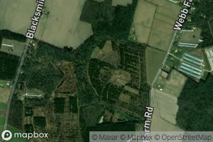 Stallion Head Branch