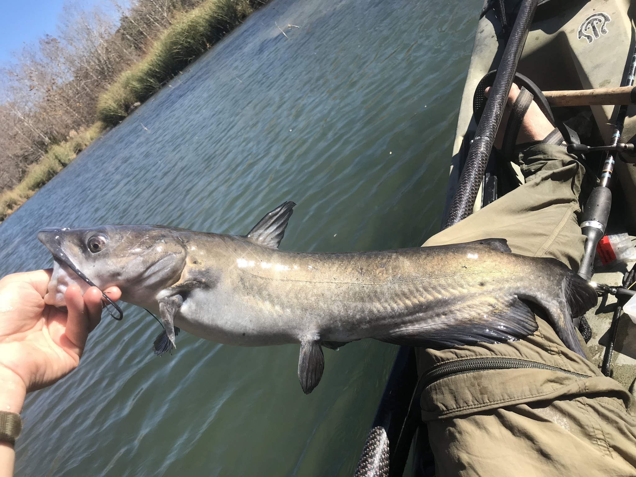 5 Best Fishing Spots on the East Coast: A Comprehensive Expert Guide