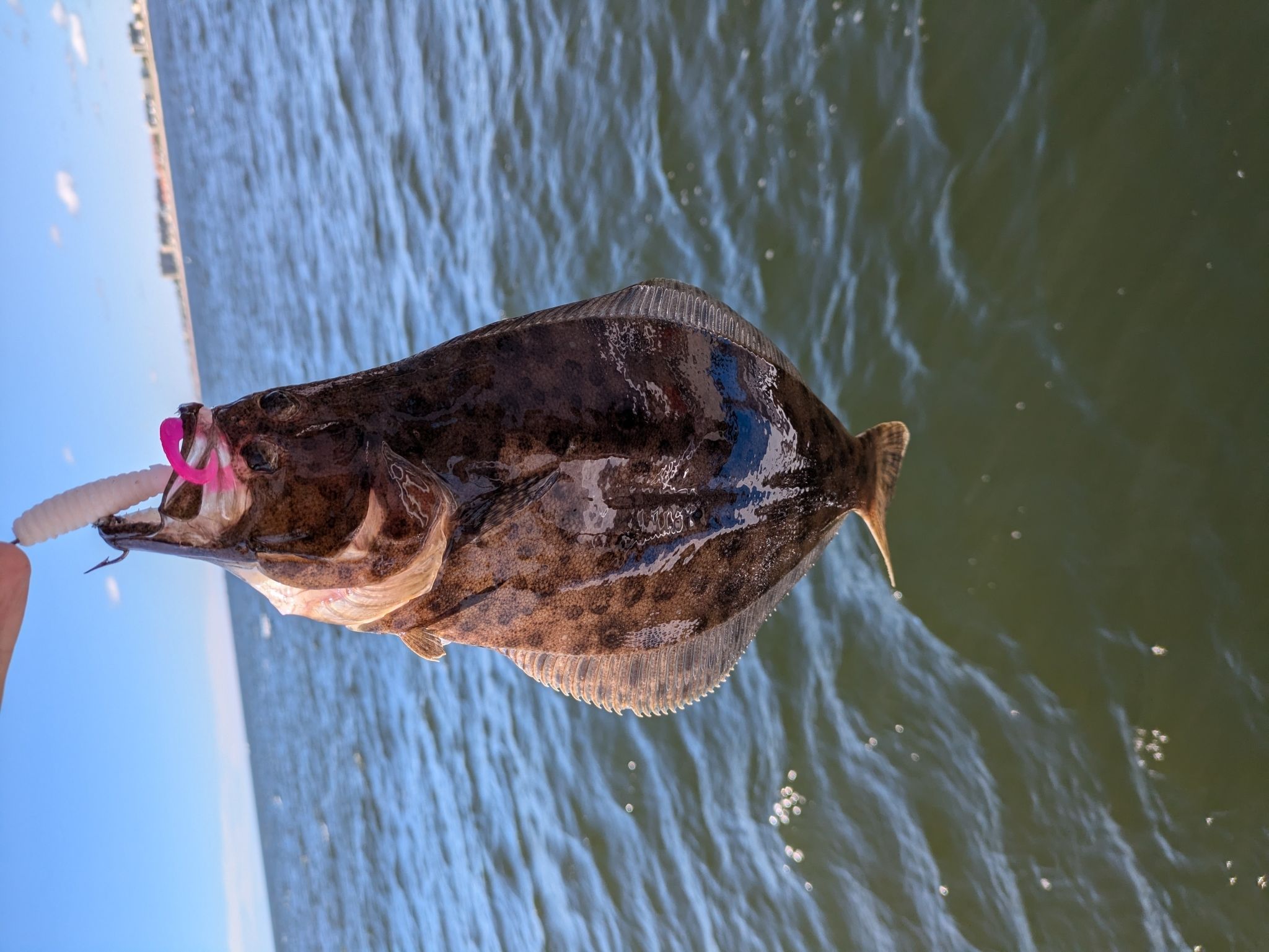 Best Kayak Fishing Tips: Expert Advice