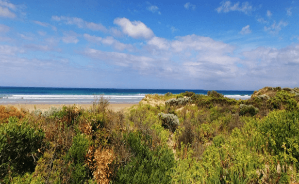 Complete Guide to Victoria Fishing Licences