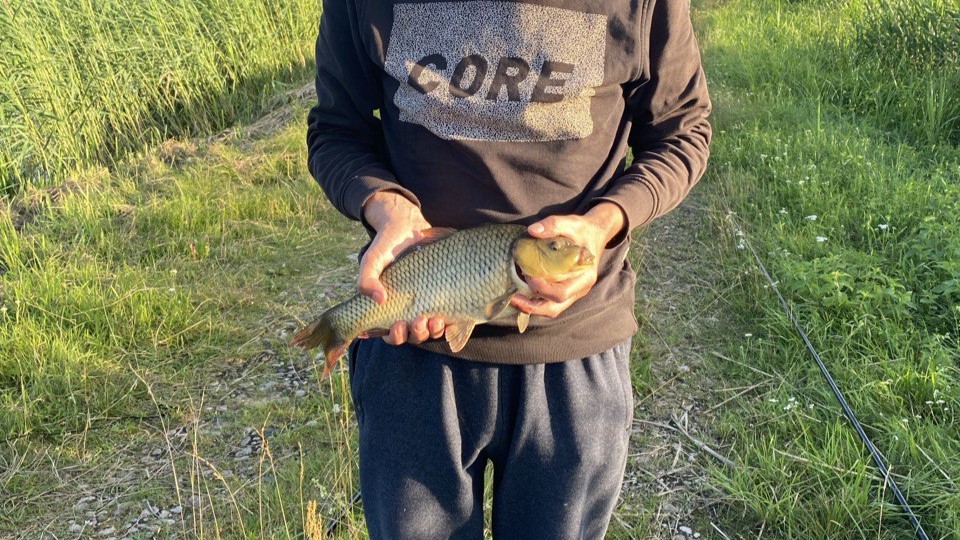 Ontario Fishing Season: Comprehensive Guide